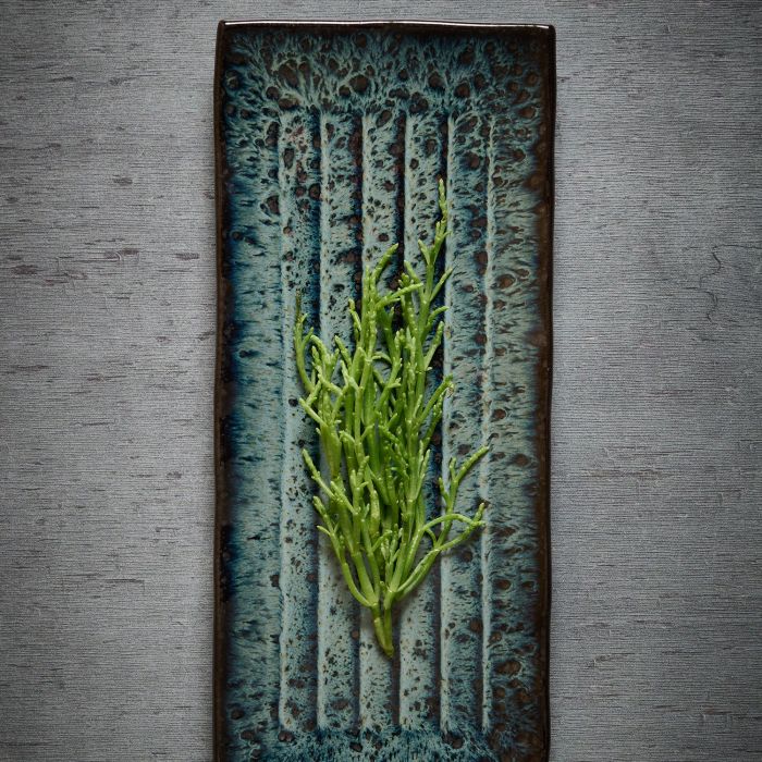 Półmisek 36x15xH2cm seaweed Umi