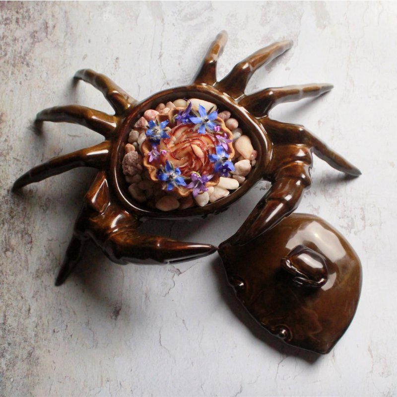STUDIO RAW Krab z pokrywką 26 x 17,5 x 6 cm