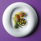 Talerz gourmet Fizz 270mm - OD Kuchni Strony